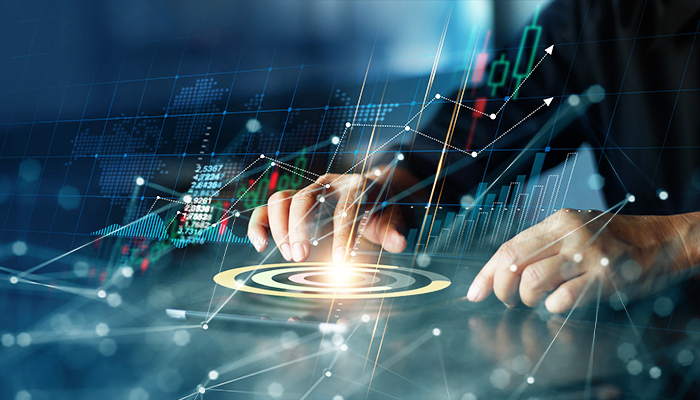 Organizational Chart for Your Brokerage House